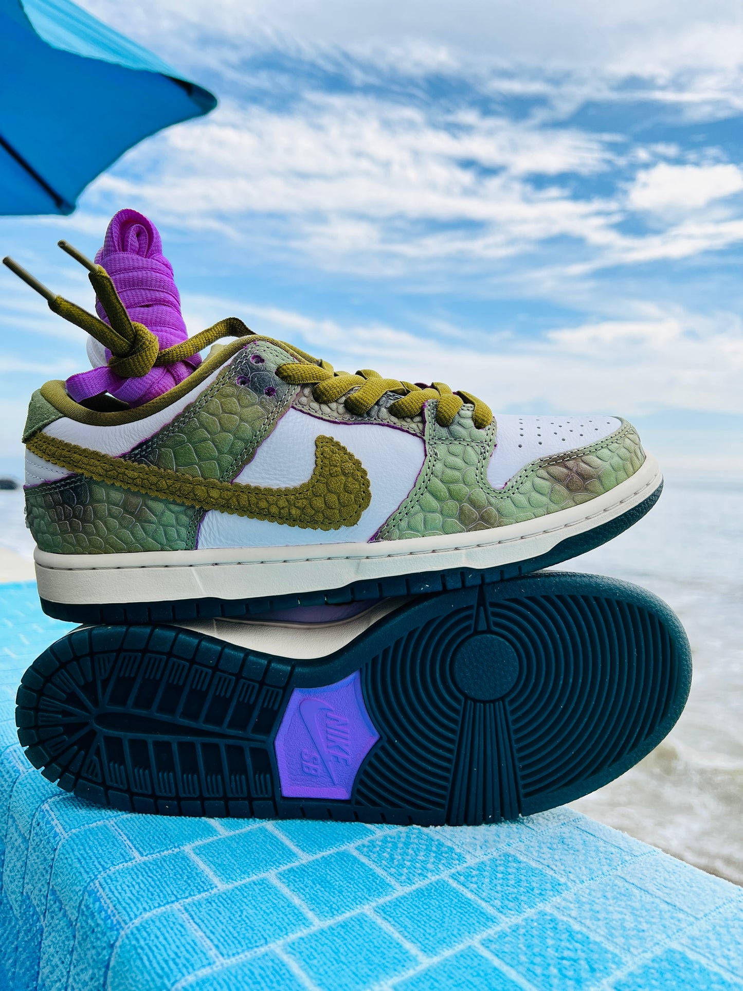 SB Dunk Low Pro QS Chameleon (HF0391-001)