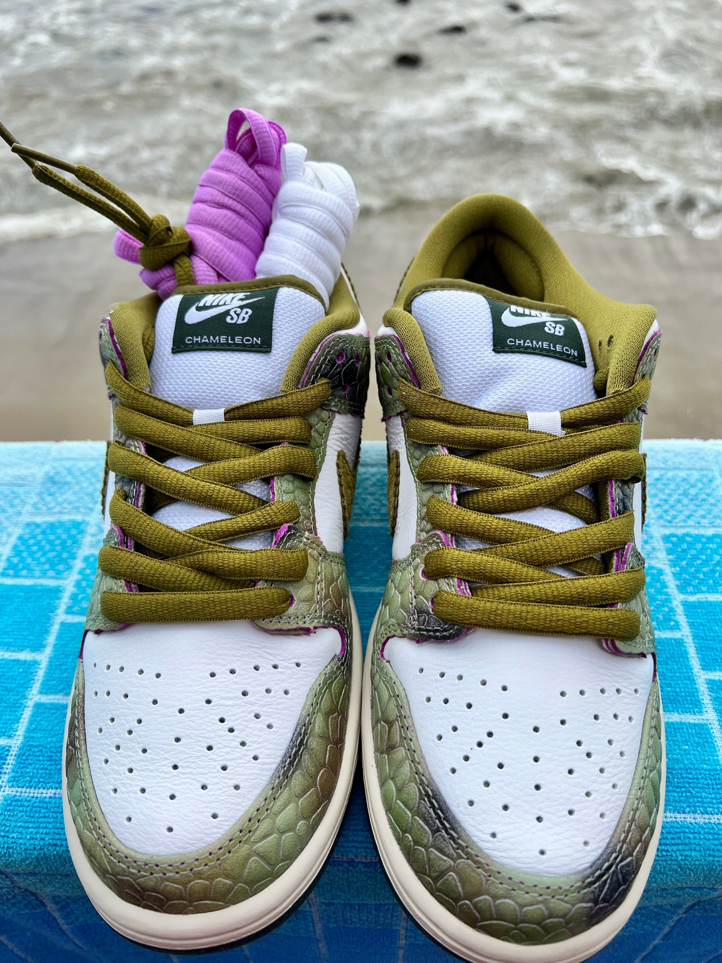SB Dunk Low Pro QS Chameleon (HF0391-001)