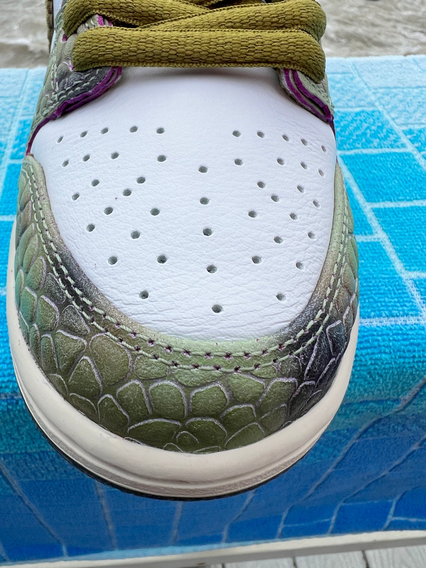 SB Dunk Low Pro QS Chameleon (HF0391-001)