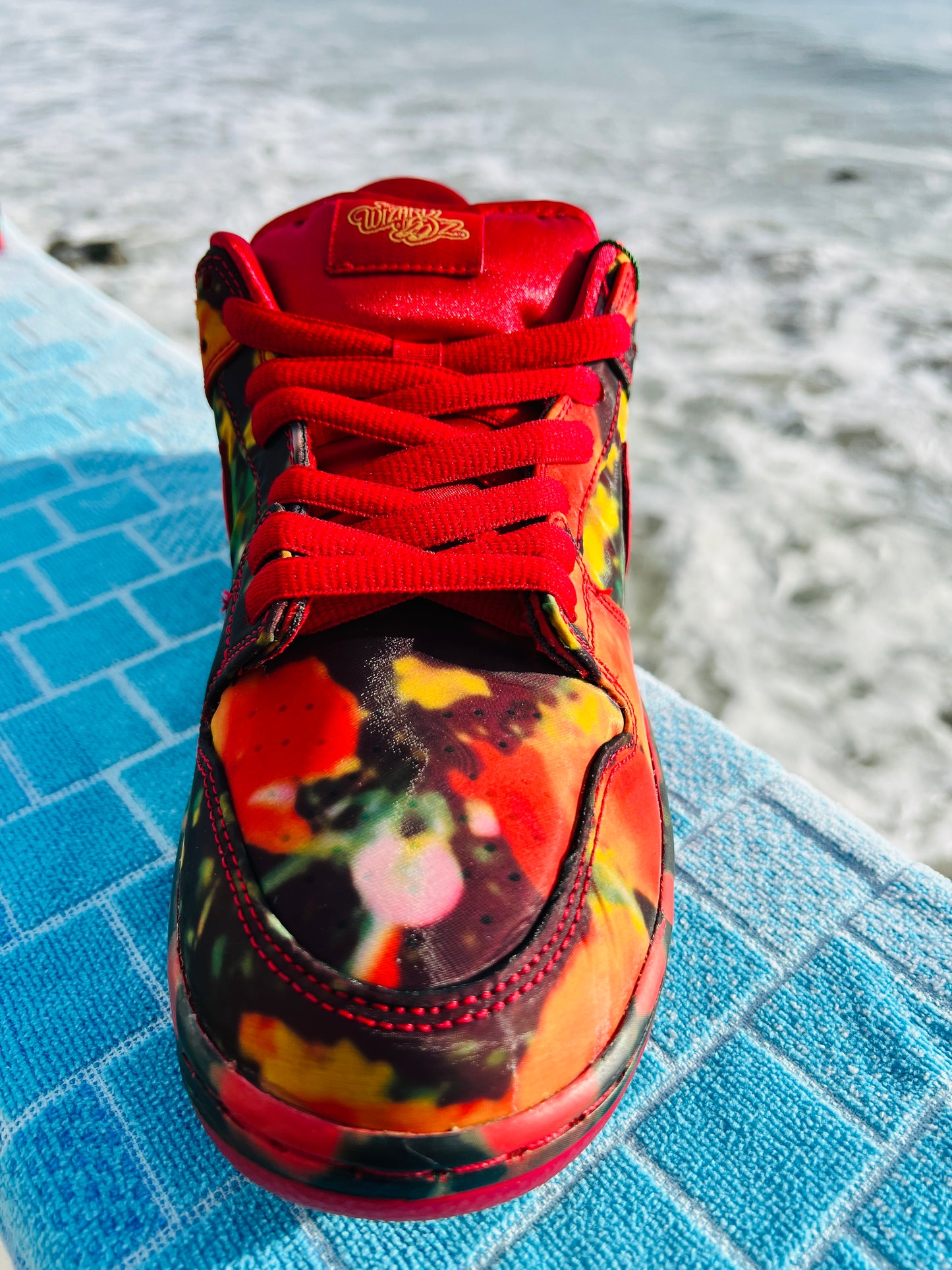 Dunk Low Wizard of Oz (FZ1291-600)