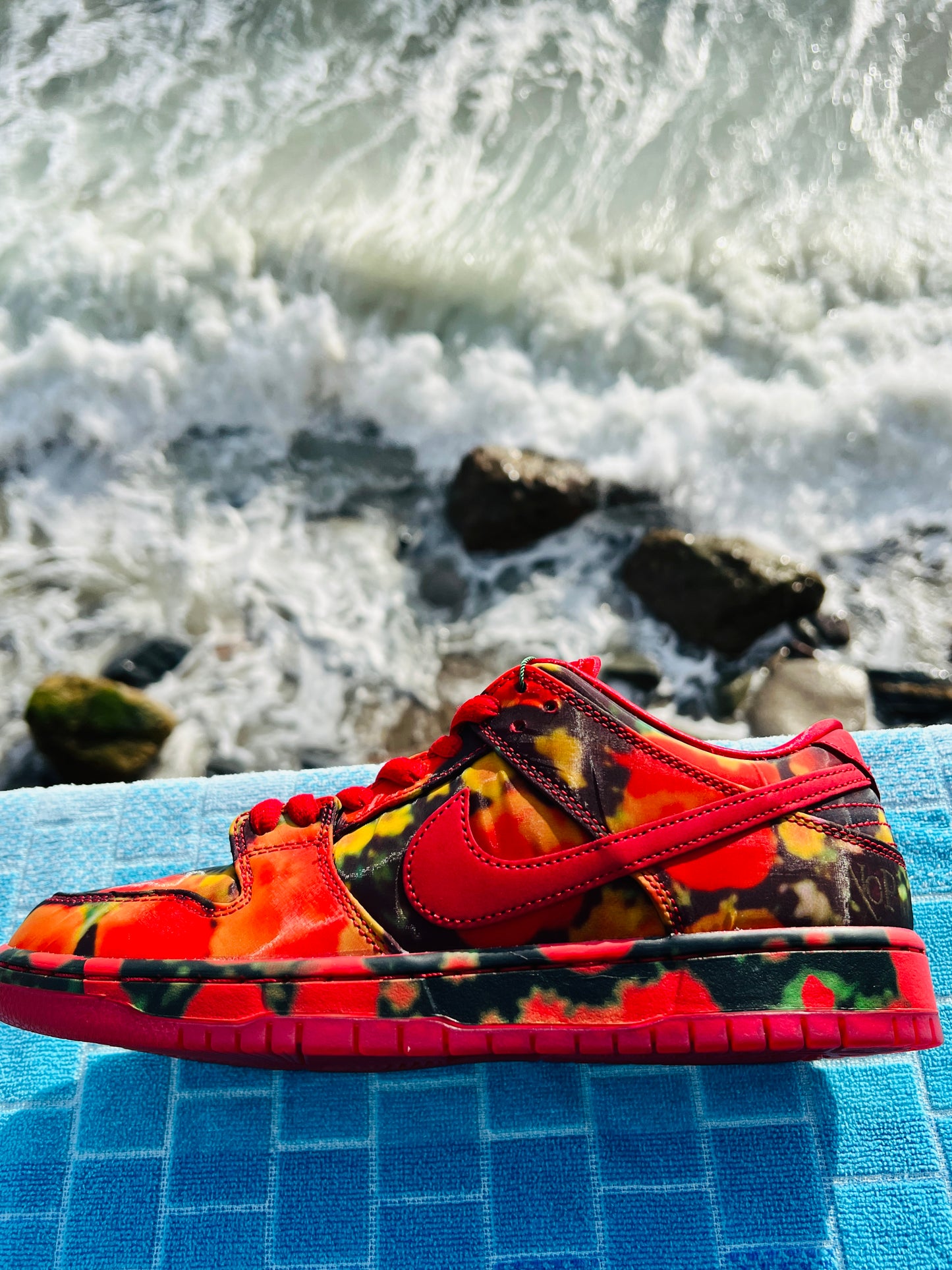 Dunk Low Wizard of Oz (FZ1291-600)