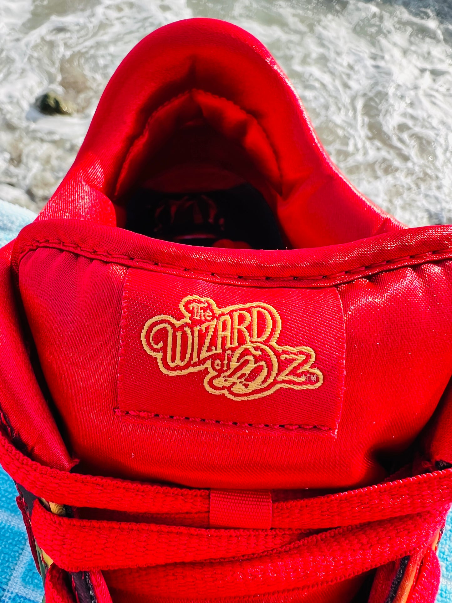 Dunk Low Wizard of Oz (FZ1291-600)