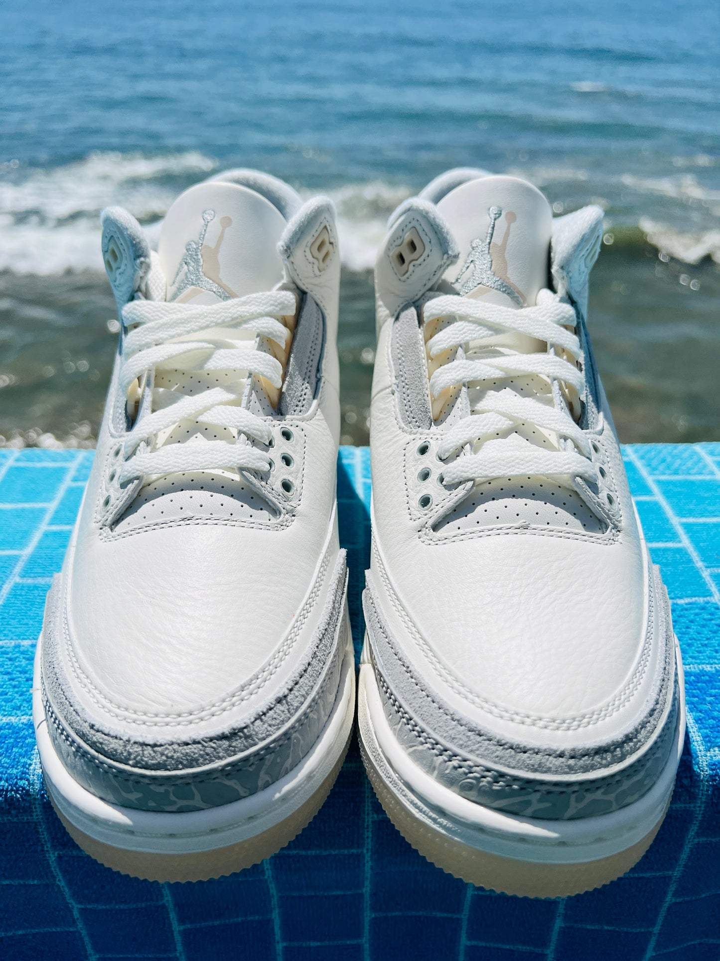 Jordan 3 Retro SE Craft Ivory (FJ9479-100)